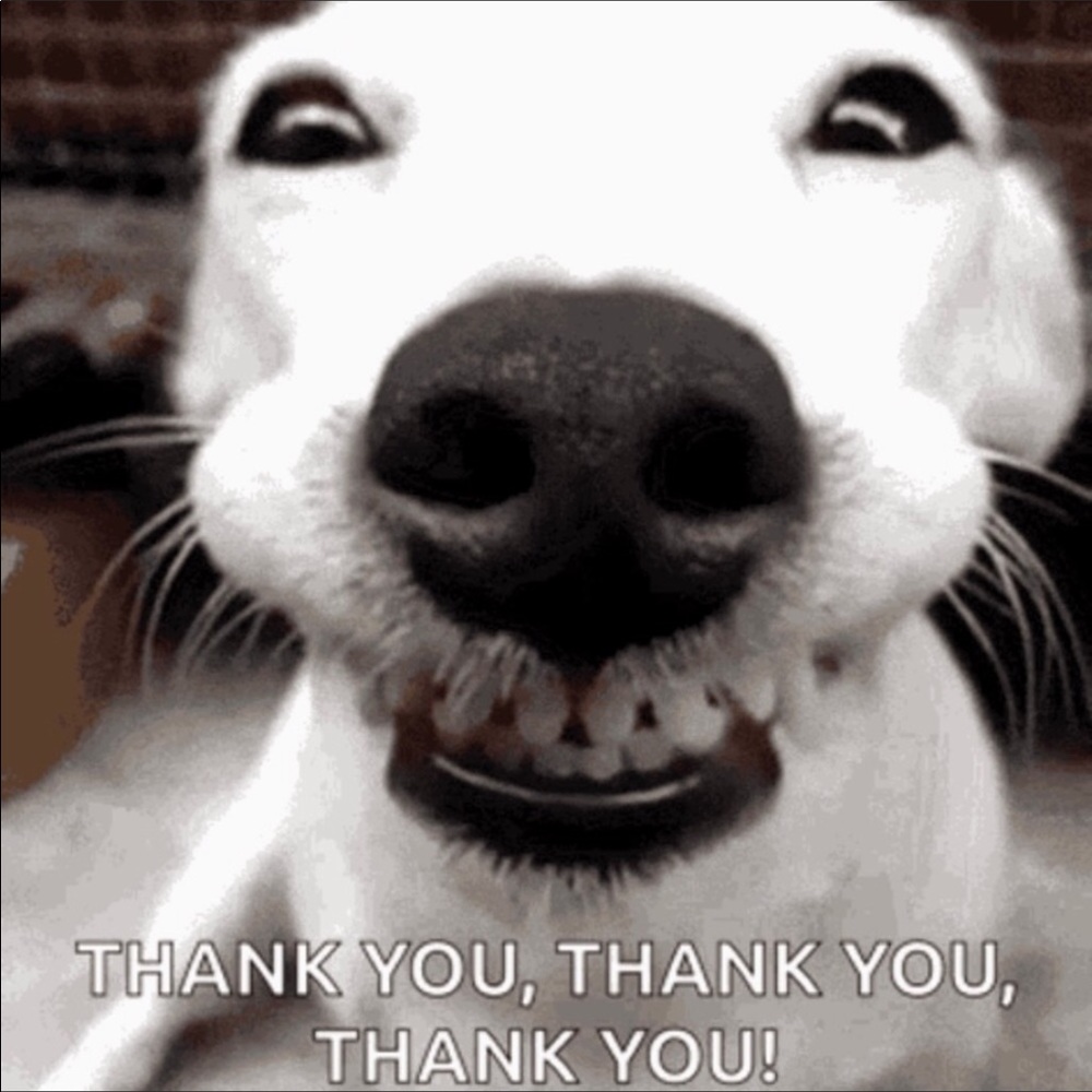 Thanks for all your purchases!